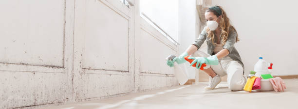 Why You Should Choose Our Mold Remediation Services in La Mirada, CA